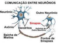 /album/neuronios/comunica%c3%a7%c3%a3o-entre-neuronios-jpg1/